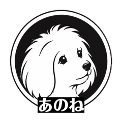 coco&_20260609195805