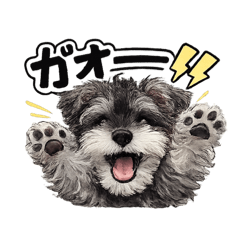 animesutanp_20260609201940