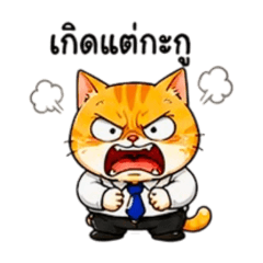 The cat office worker