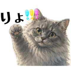cat cute 3