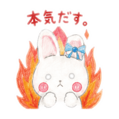 Rabbit Feelings0710