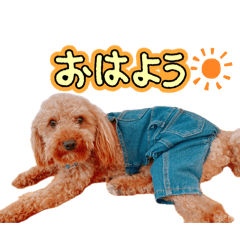kamechi_20260609212304