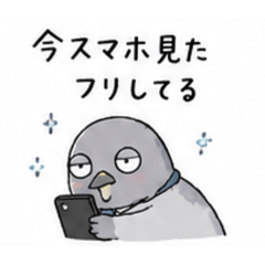 saika_20260609220055