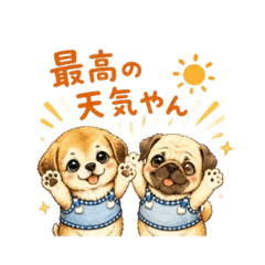 Pepe Miran Mugi Weather Stickers