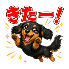 Black & Tan Dachshund Reactions