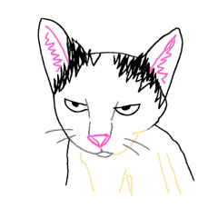 Boring Cats&Dogs
