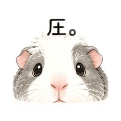 pocochan_20260610002251