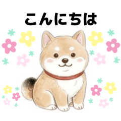 Polite Shiba Dog Daily Greetings