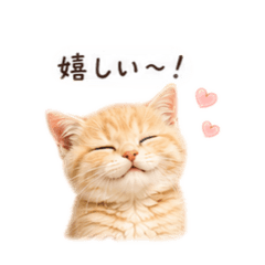 yuyayaya_20260610002923