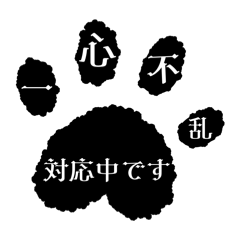Shiorisaki_Shirabe_20260610005433