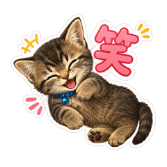 ayakotoharu_20260610005833