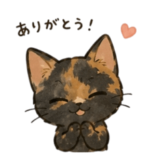 REN_20260610025501