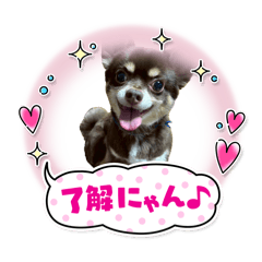 cocopapa_20260610062741