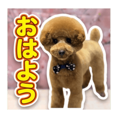 hahan_20260610074436