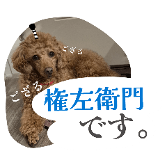 momoimo_20260609193814