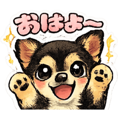 Cute Chihuahua Cook