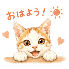The daily life of Latte the stray cat