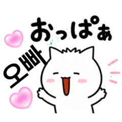 nukonameko_20260610152327
