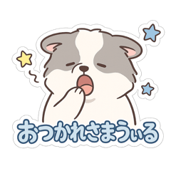 maimo_20260610155150