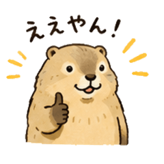 Everyday life Marmot