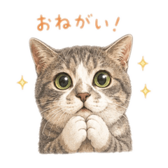 Katoshin_20260610161518