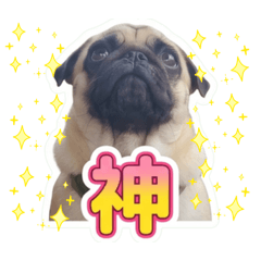 35buddy_20260610162229