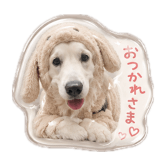 sashUSashu:)_20260610163009