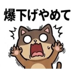 nekokabu_20260610162048