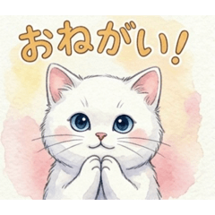 Kai_20260615002809