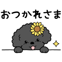 やさしいトイプー『基本セット』2