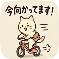 Cozy Cats: Daily Life Reports