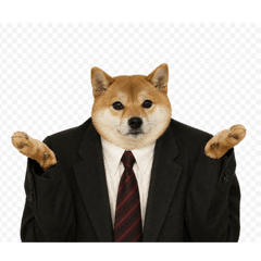 Shiba Gentleman
