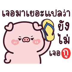 พิ้งกี้หมูผู้น่ารัก8