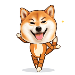 Breakdancing Shiba