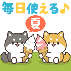 Pop-up! Answer Shiba Dog (Vacation)