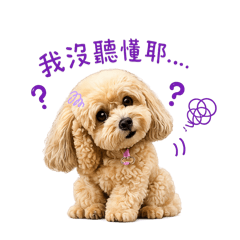 徐布丁3