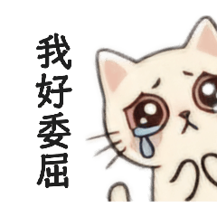 小喵波波【1】