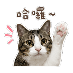 恩恩愛你ㄛ（1）