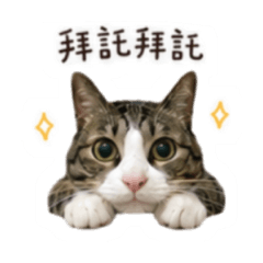 恩恩愛你ㄛ