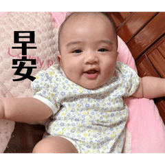 小菠蘿來嚕～～～