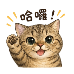 小阿虎寶寶