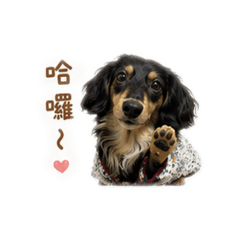 桃生活日常