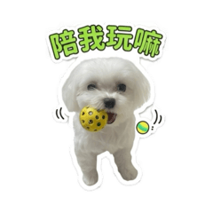 愛獎