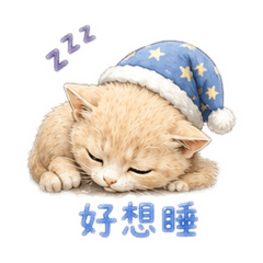 哈嘍 貓咪