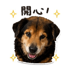 多佶和妹妹