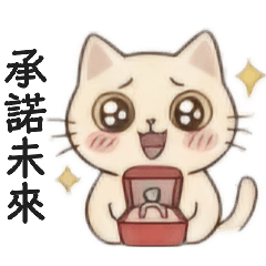 小喵波波【2】