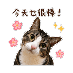 恩恩愛你ㄛ（2）