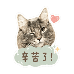 Bebe&妞妞日常用語