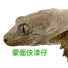 數字家庭成員