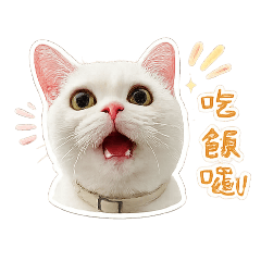 我是一隻小短腿